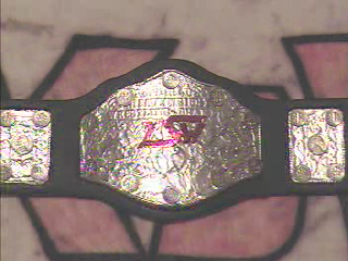 tvbelt1.jpg