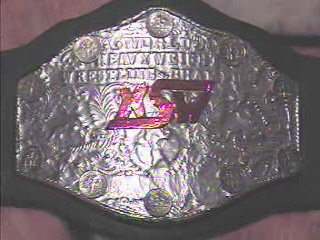 tvbelt3.jpg